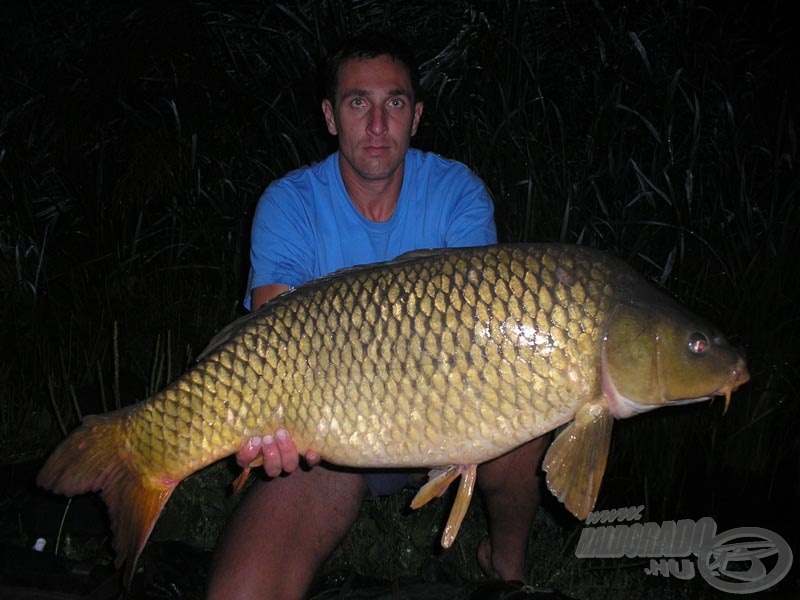 Ottó gubancművész pikkelyese, amely 13,84 kg-ot nyomott…