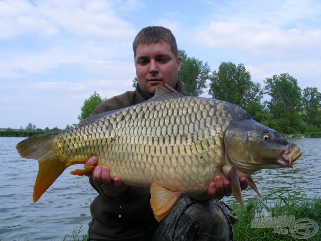 Egy erőtől duzzadó 8 kg-os töves