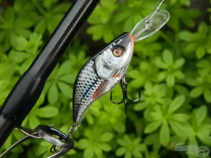 Egy wobbler a csúcson: Salmo Sparky Shad