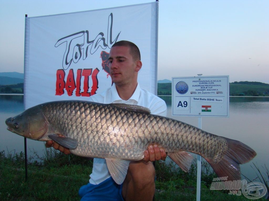 Total Baits BSHE bemutatja: gáti amur 10 kg felett