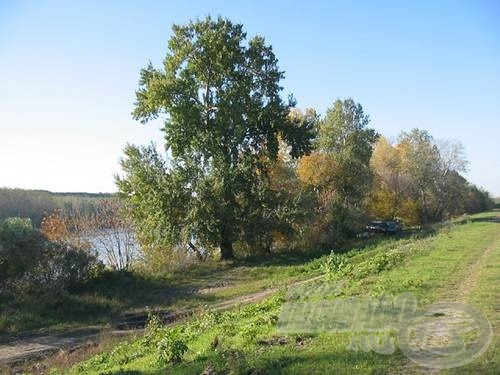 … elnézegethetjük a Tisza-parti fák új ruháját…