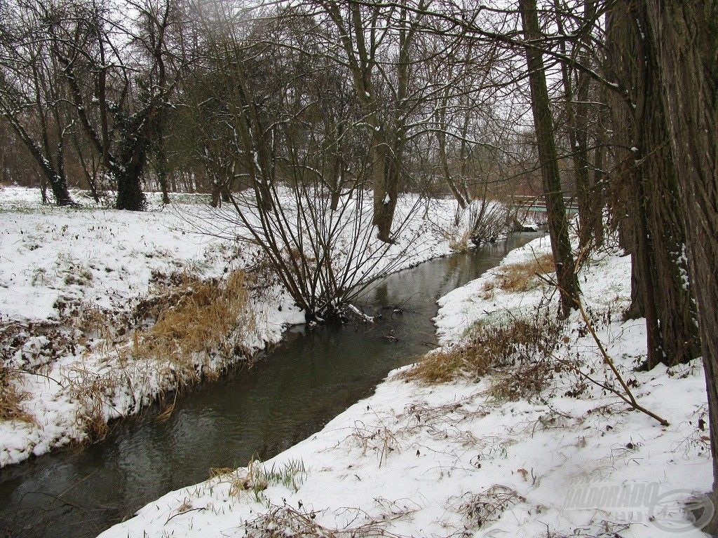 Idén elég későn érkezett meg a tél, januárban szinte tavaszias idő volt…