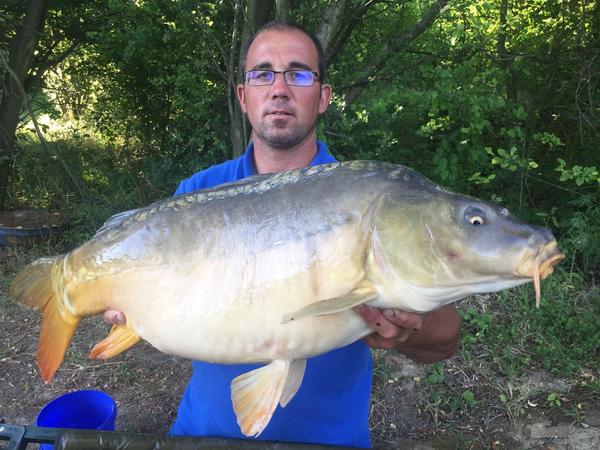 A nap koronája ez az óriási, 10 kg feletti tükrös