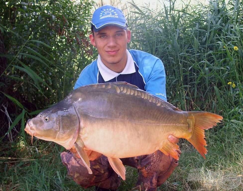 Gyönyörű tükörponty képében érkezett az első kapitális példány