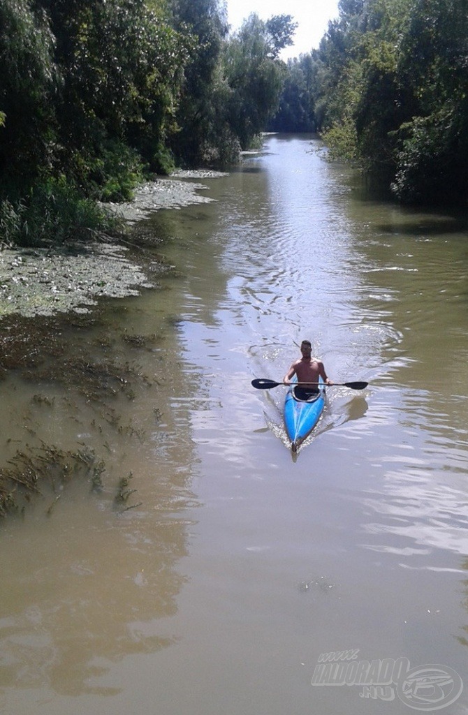 A horgászat mellett egy másik szenvedélyem a kajakozás, elsősorban ez köt még össze a  Tisza-tóval