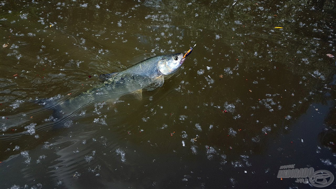 Egy képen a főszereplők