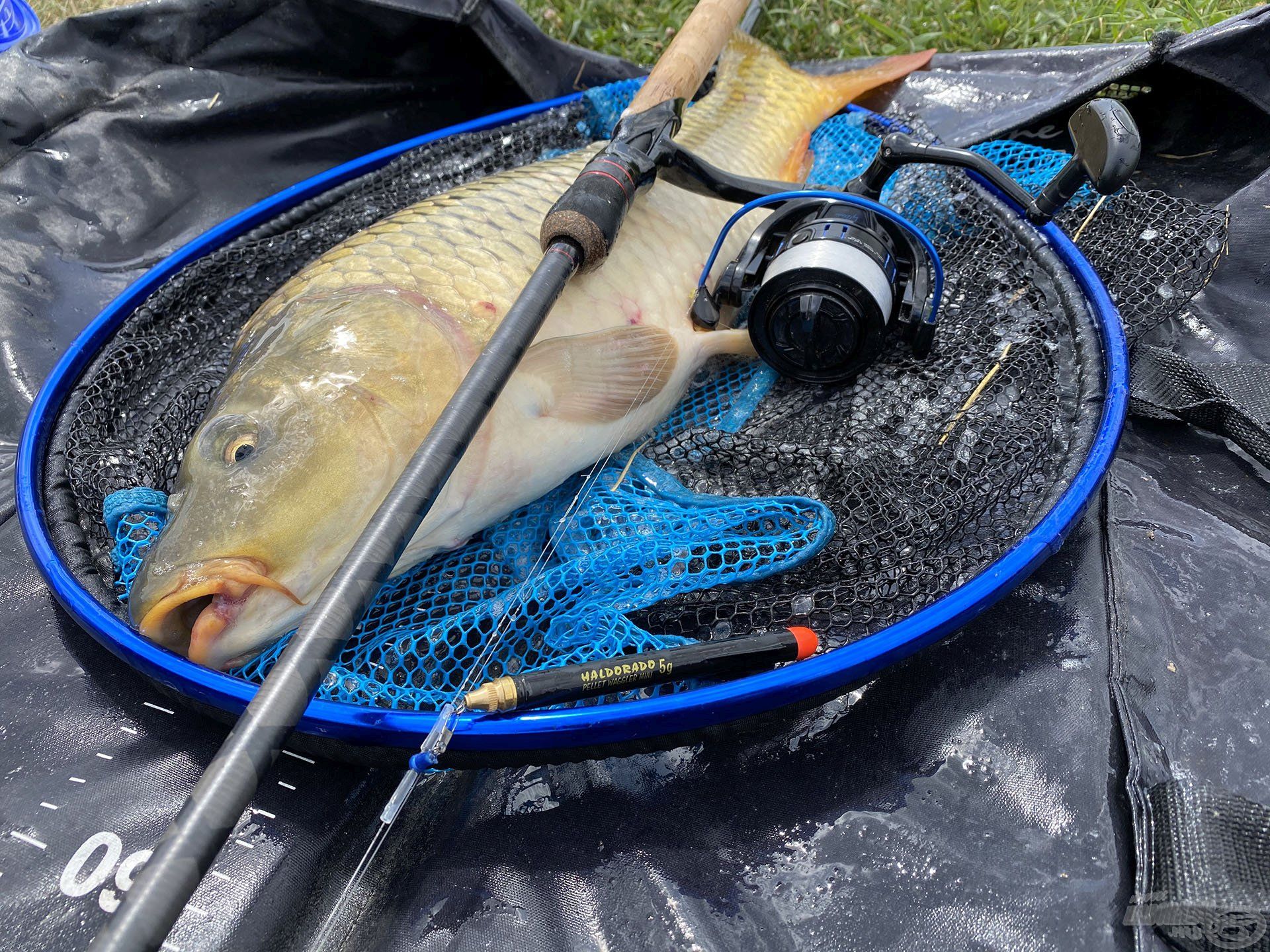 A módszer egy hozzá illő bottal válik teljessé. A képen látható felirat nélküli 3,6 m hosszú tesztbot egy új Pellet Waggler botom, amely egy nagy gyűrűkkel szerelt úszós pálca. Keményebb, mokányabb, mint egy átlagos matchbot, de nagyon rugalmas és erős!