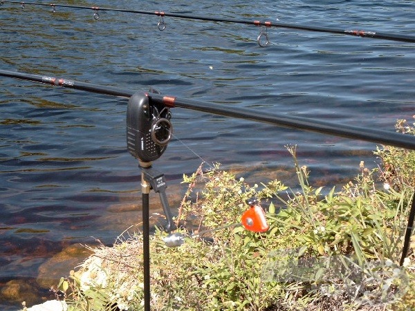 A fenekező horgászat során a Cormoran hangjelzéssel kombinált Fox swinger megbízhatónak bizonyult.
