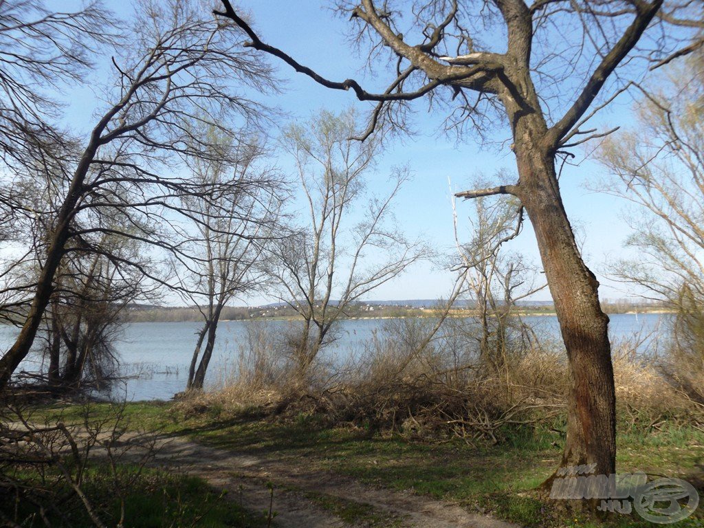 … és benne a sok éhes, kapitális hal