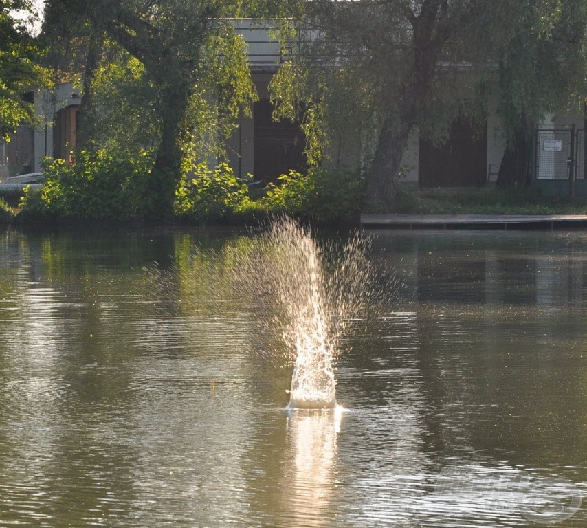 … lehetőleg pontosan