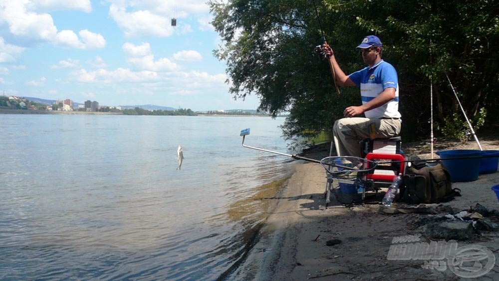 Kisebb szilvaorrú keszegek is jöttek