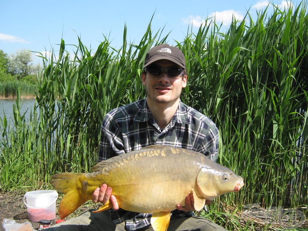 Egészséges, 7 kg-os tükörponty