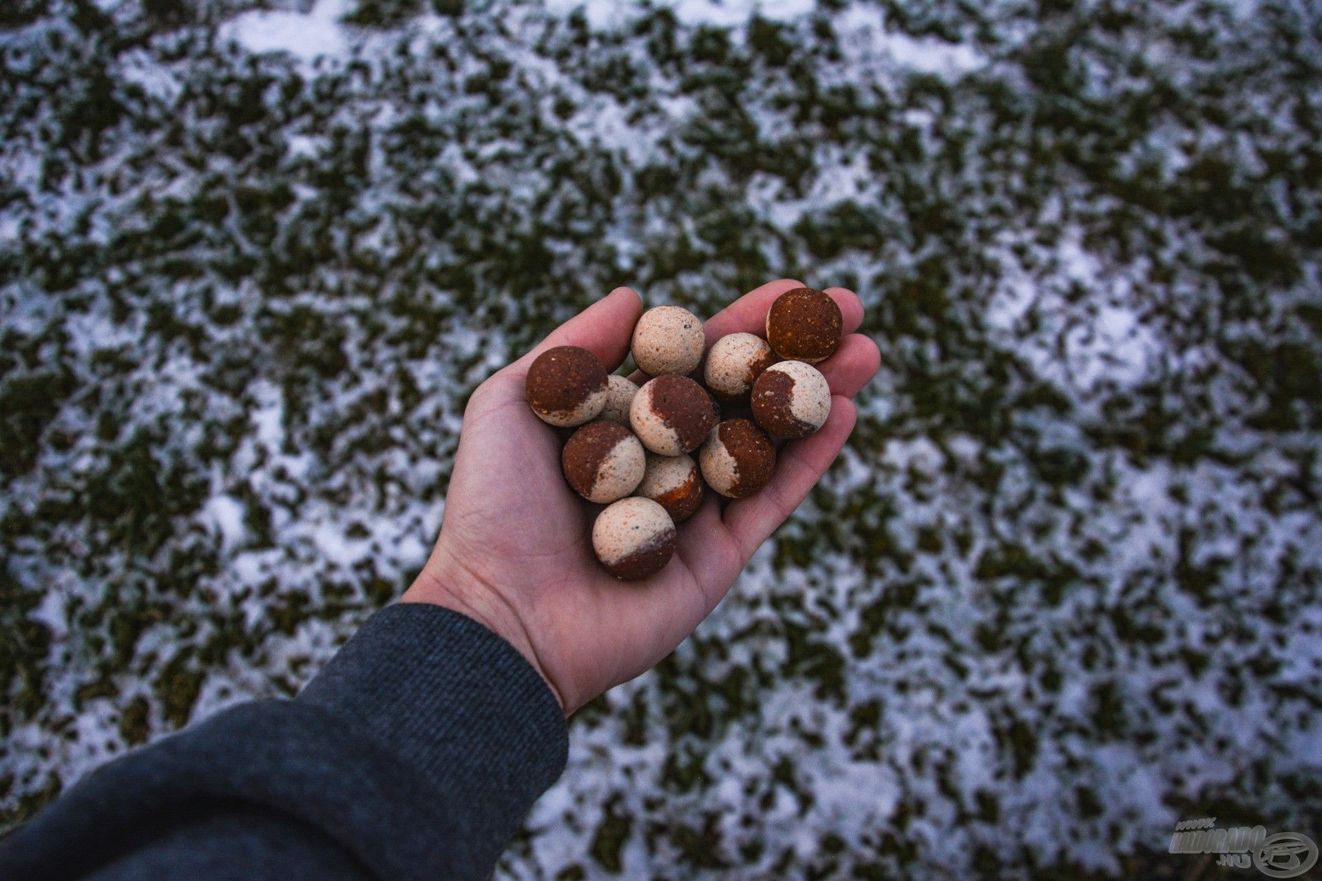 Csupán ennyi bojli ment egy helyre naponta