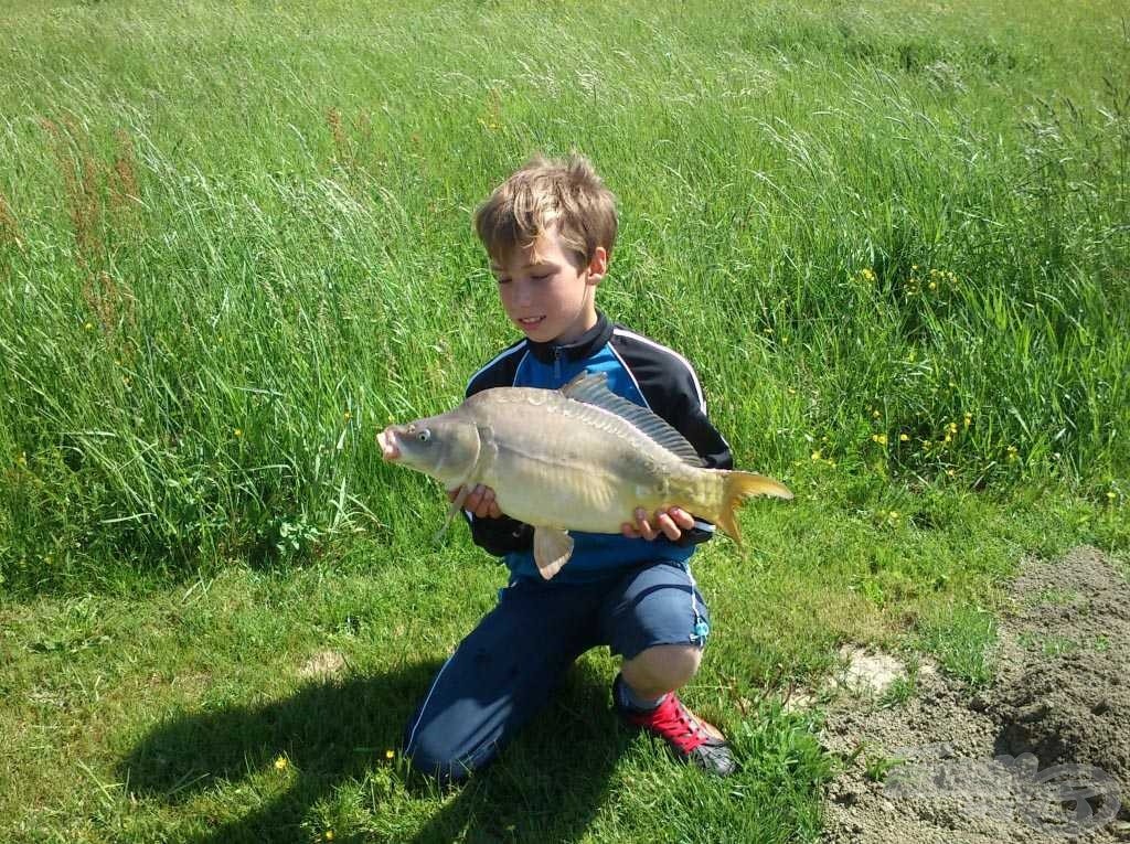 Szép példány, 3,340 kg