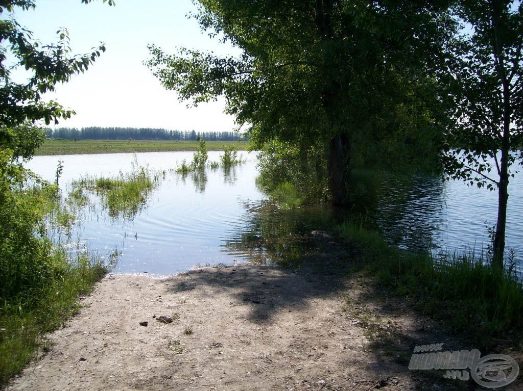 … azonban néhány nappal később már megközelíteni sem lehetett kedvelt helyeimet