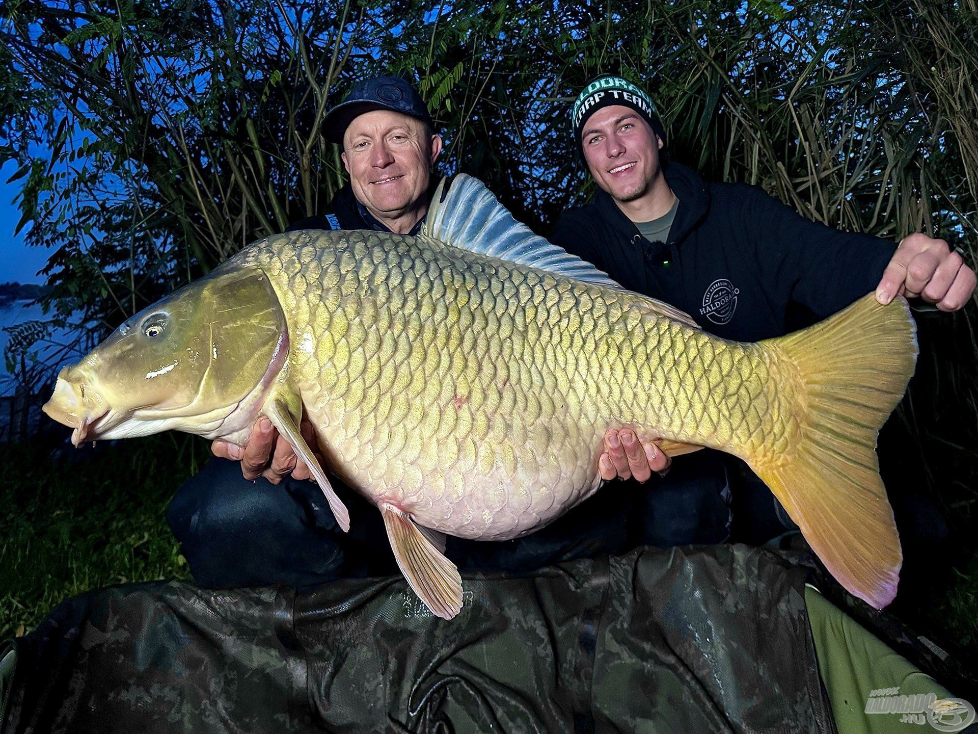 5 db 20 kg feletti ponty a Tisza-tóból? Egyetlen túrán? Igen!