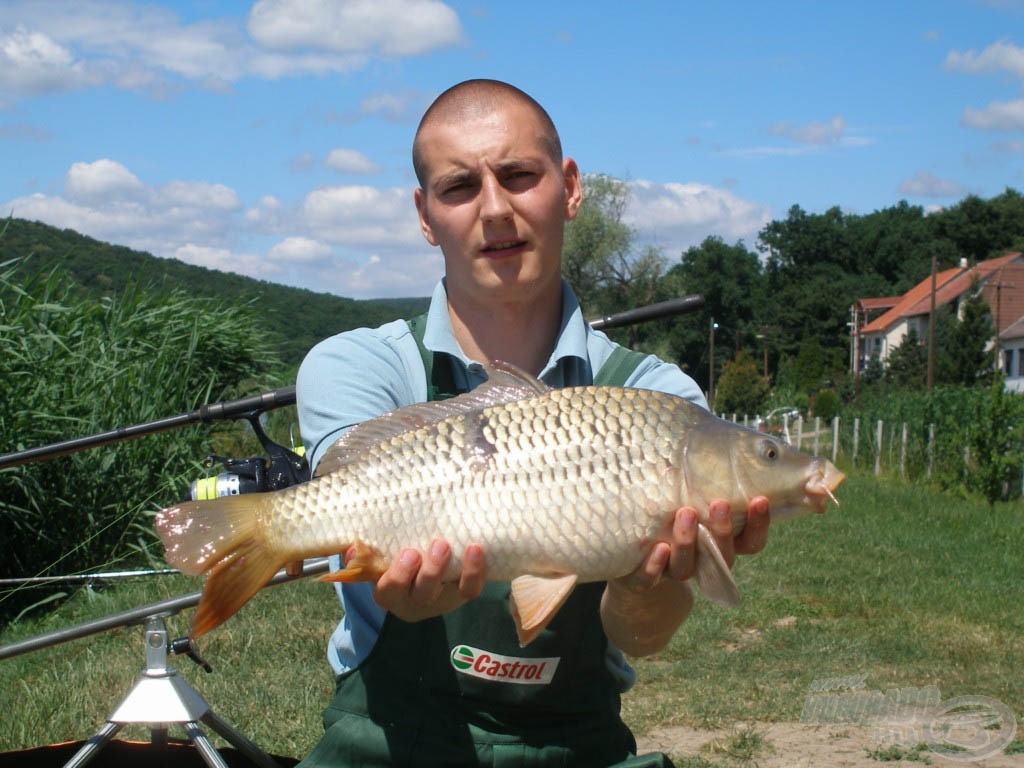 Ennek a potykának várjuk a felmenőit