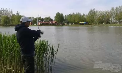 Halra fel! A teszt-üzemmód