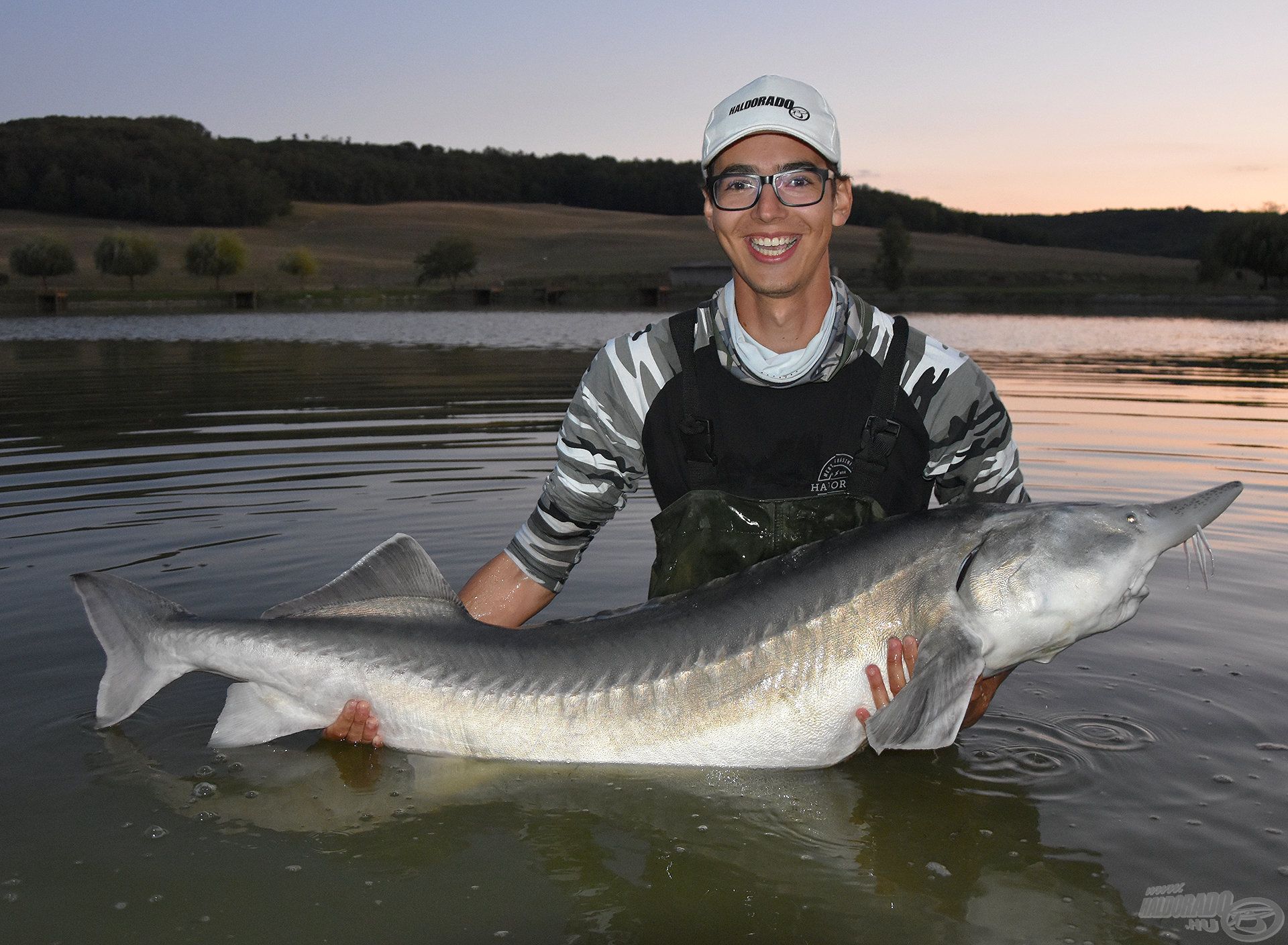 Bálint új abszolút egyéni rekordja lett ez a 32 kg-os beluga!