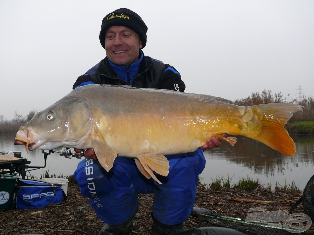 A nap legnagyobb, nyurga testű tükörpontya. Súlya 8,61 kg volt