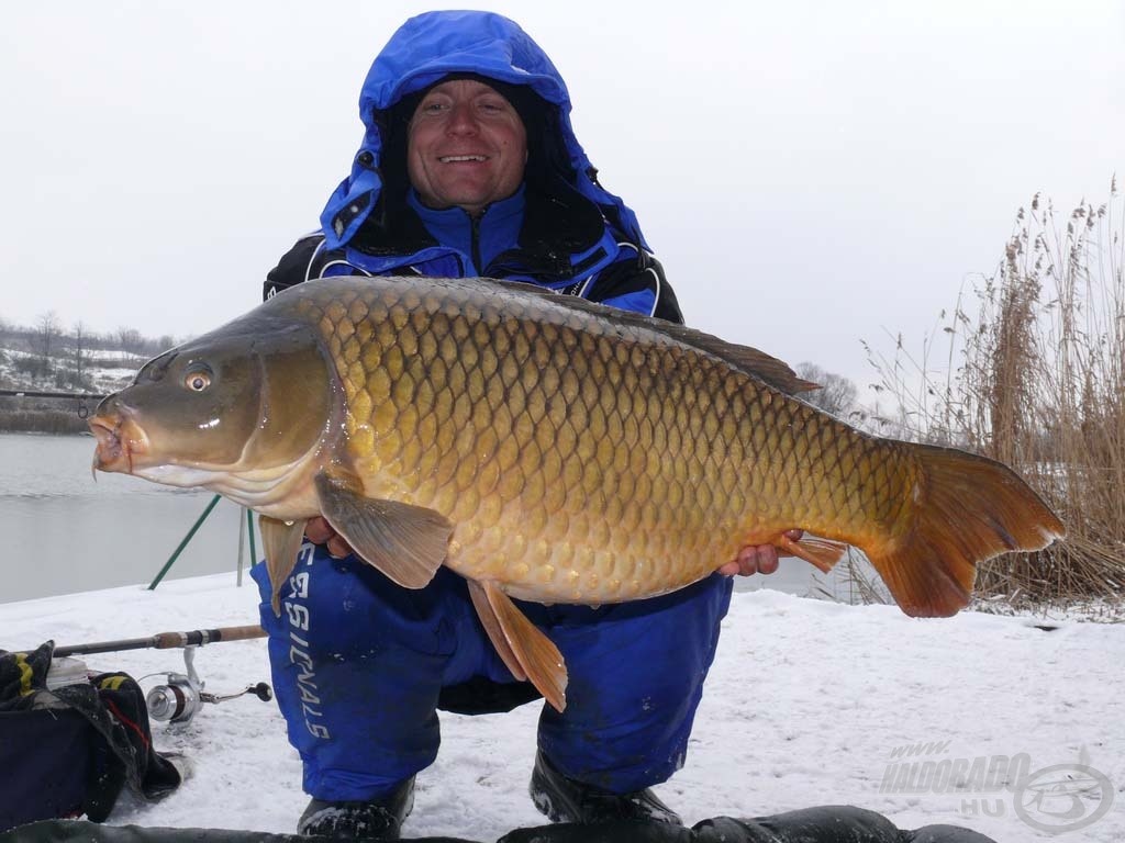 Ez a gyönyörű tőponty a hideg víz ellenére is kemény ellenfélnek bizonyult, súlya 11,59 kg volt