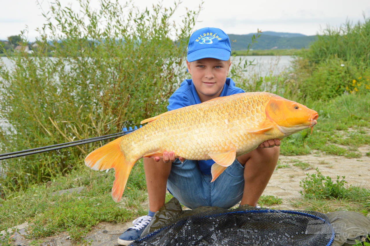 Geiger Domonkos 5.370 grammos koi pontya