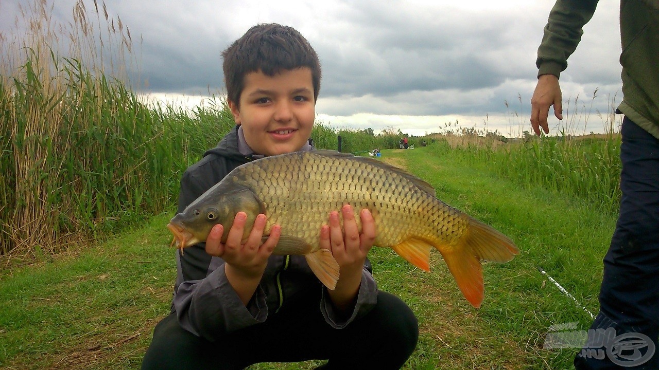 2,2 kg-os tőponty