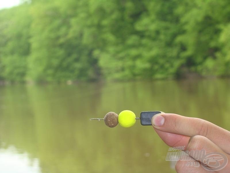 A Withy Pool Riget használhatjuk egyetlen pop-up (lebegő) bojlival is, de én előszeretettel alkalmazom az egy szem pop-up mellé az Abiotic Carp Baits 16-os süllyedő bojlijait