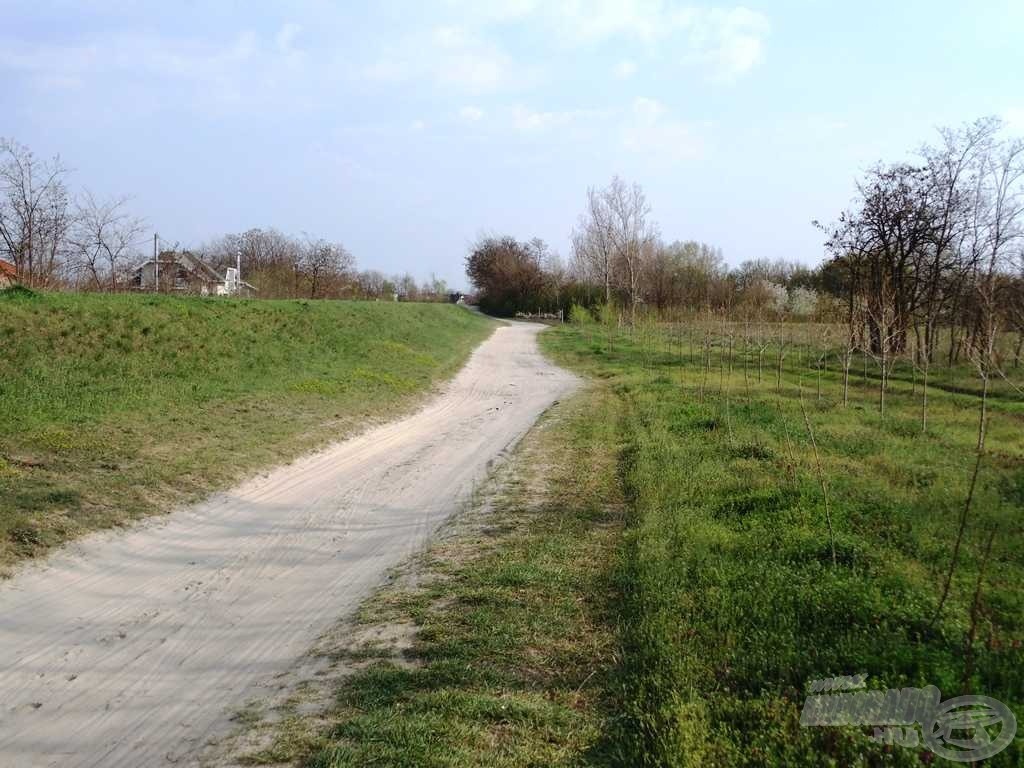 Borzasztó út vezet a Duna-gát mellett a tóig