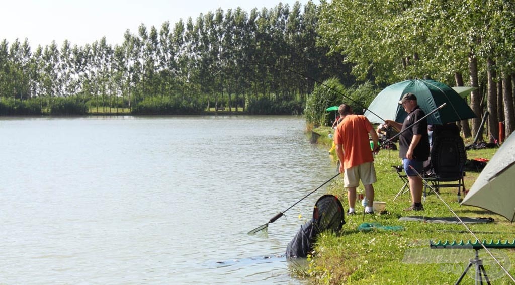 Újabb ponty a „B” szektorban