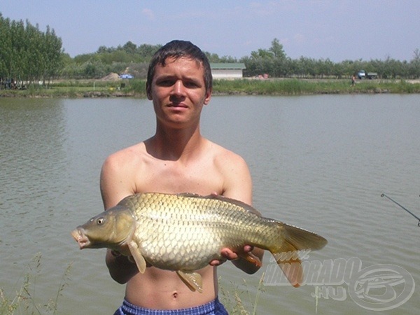 Egy 4,5 kg-os tőpontyom a régebbi időkből, amelyben önmagában semmi különös nem lenne, ha nem csalihalra érkezett volna