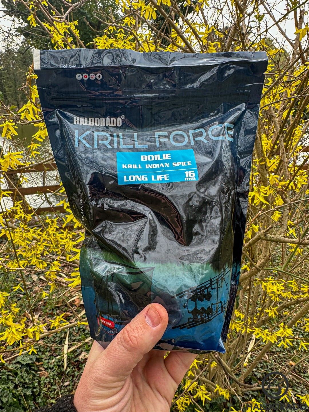 Krill Force Indian Spice – az egyik kedvencem
