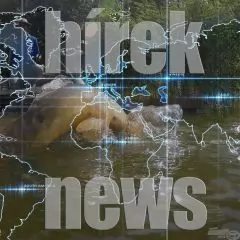 Hírek