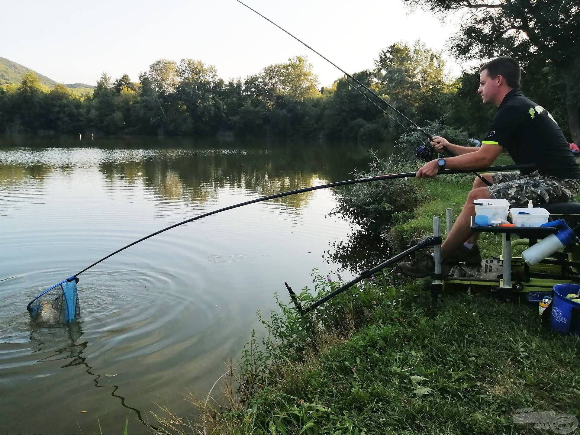 Meredek vagy beszakadt partoldalak esetén ideális választás a hosszú és erős merítő nyél. A by Döme TEAM FEEDER Master Carp 3,5 m-es nyele nekem sok esetben segített már