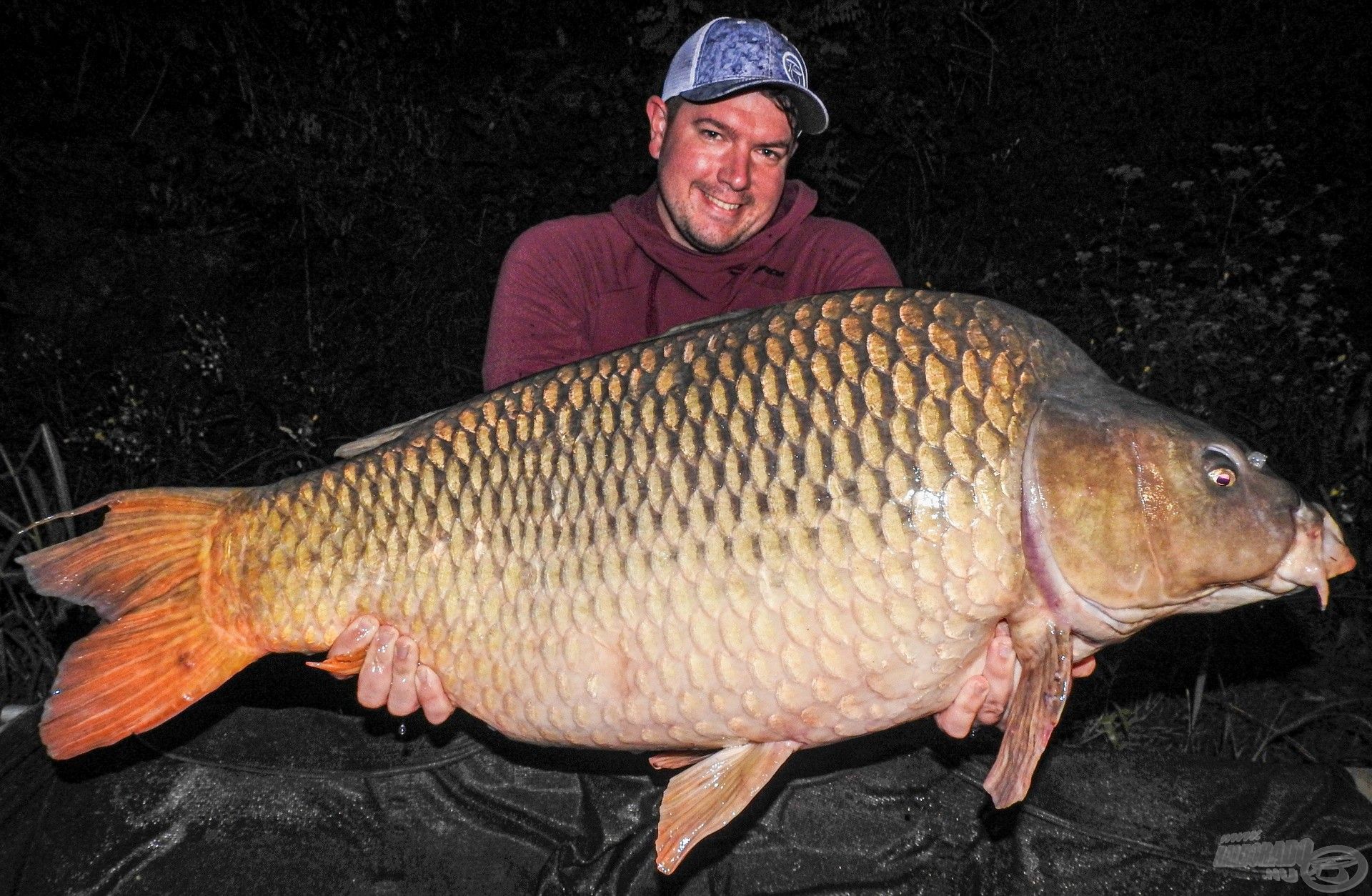 Az éjszaka királynője, Emma bőven 22 kilogramm felett
