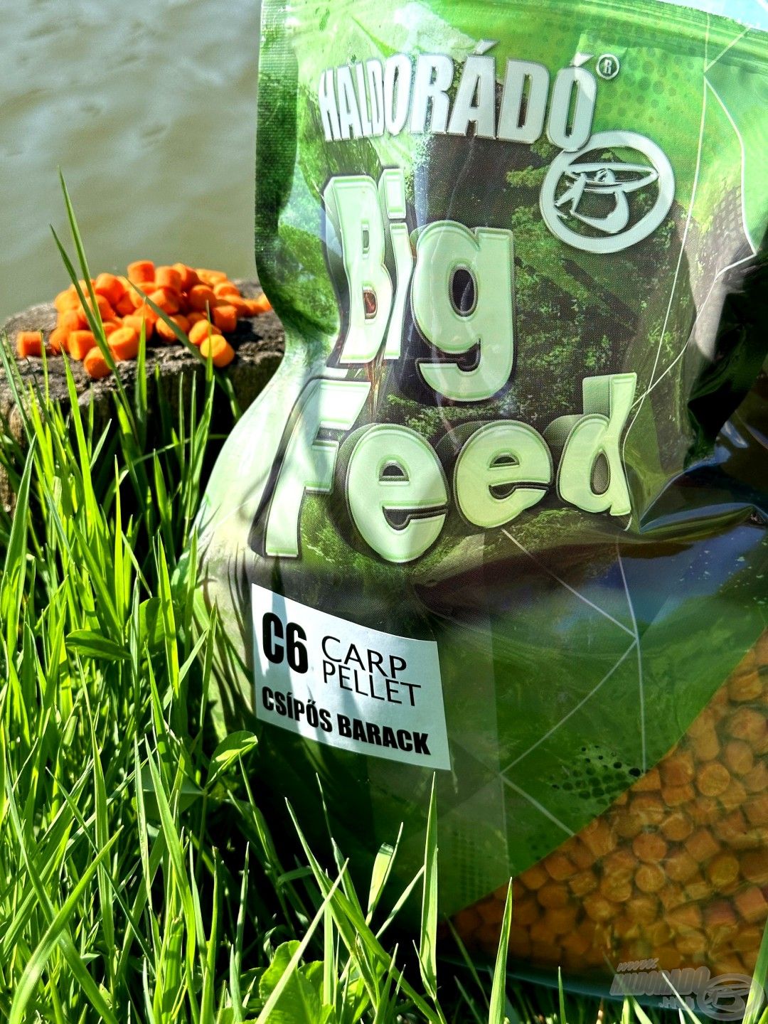 A Big Feed C6 pellet volt most etetésem alapja