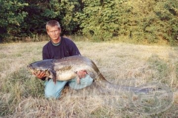 Az új tórekorder 47 kg-os Tatai harcsám.