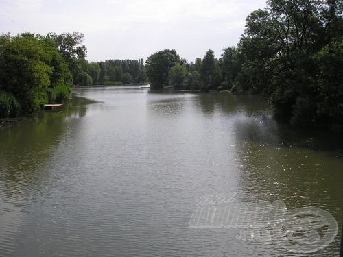 A Kákafoki és a Bikazugi találkozása