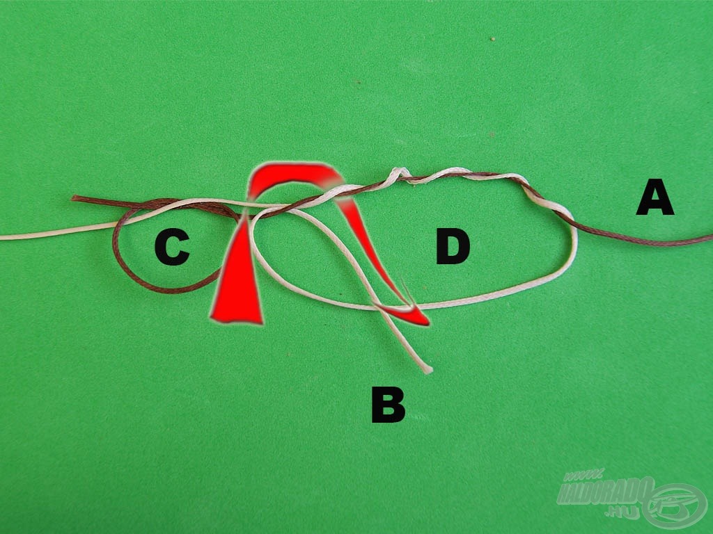 A „B” szálat a körbetekert „A” szál mögött visszabujtatva létrehozzuk a „D” hurkot
