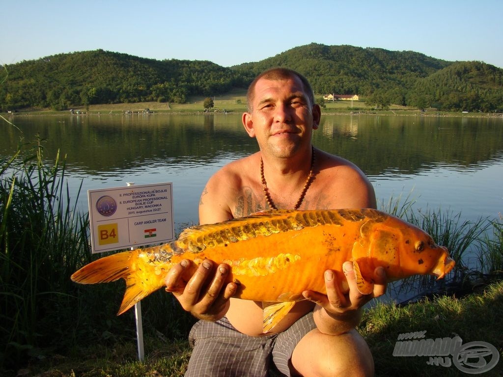 Carp Angler, szintén narancssárga
