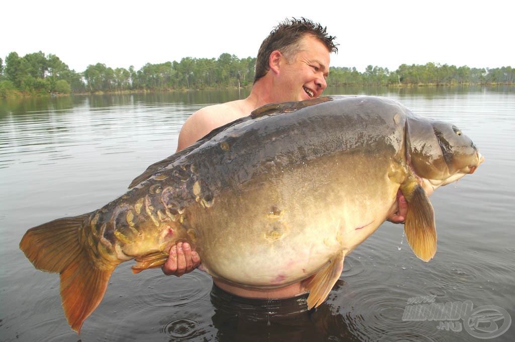 A Rainbow-tavon fogott 40,80 kg-os tükörponty igazi rekordfogásnak számít, melyet Rob Hales részben az M1-es pop-up csalinak köszönhet!