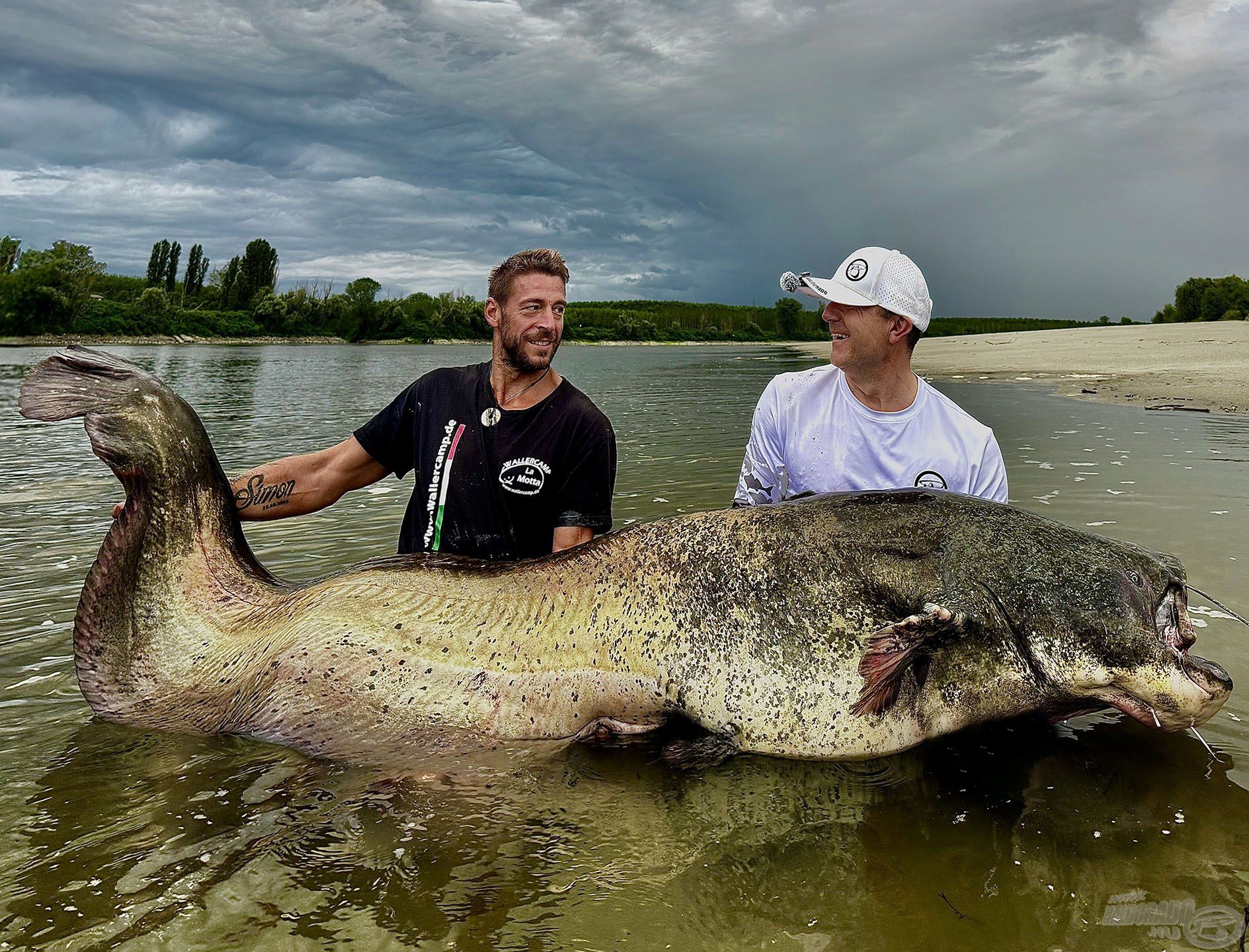 Minden bizonnyal Ő a valaha fogott legsúlyosabb harcsám, tömege megközelítette a 100 kg-ot!