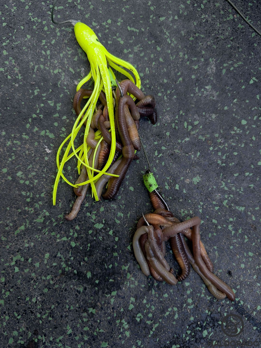 Próbálkoztam spannolós, szakítós módszerrel és vertikális módszerrel is, de képtelen voltam kapást elérni. A legfogósabb csalik sora mondott csődöt…