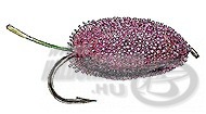 Whitlock\'s Mulberry Carp Bug