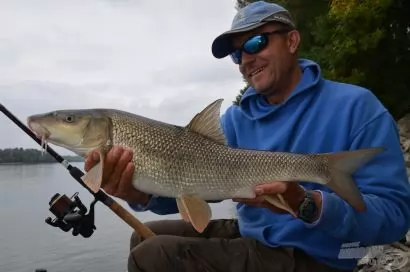 Maggot Riverrel a nagy márnákra