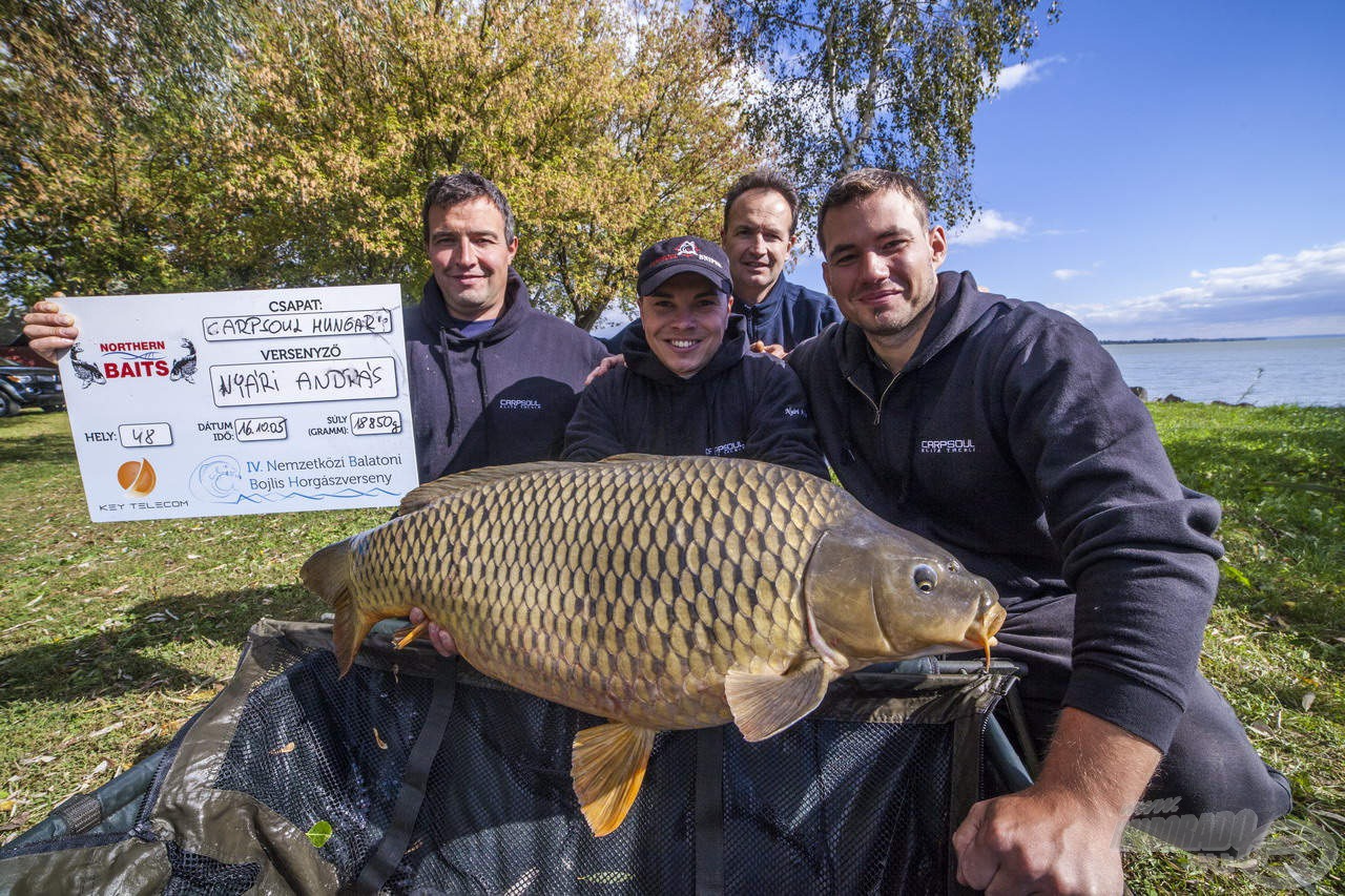 A Balaton csodás környezete és gyönyörű halai páratlan élményeket kínálnak a versenyzőknek!