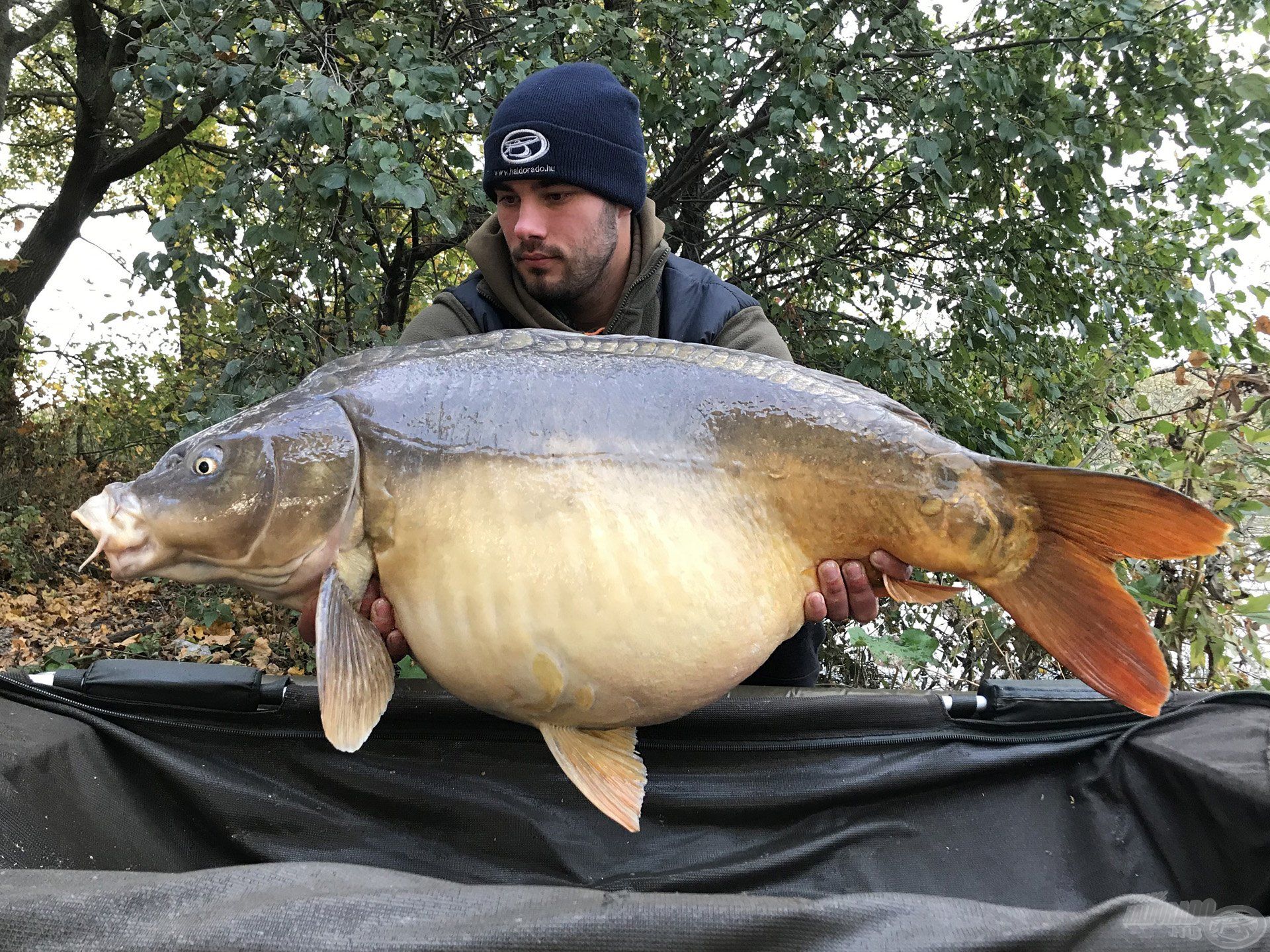 … és szemből a 19 kg-os „pocakos”