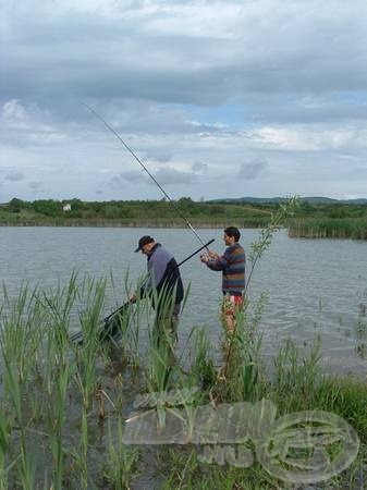 Akcióban