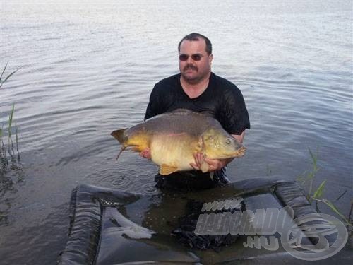 A kb. ötpercenként ismétlődő „pittyenős” kapás után aligha hitte volna bárki is, hogy beköszönt életem eddigi legnagyobb, 20,10 kg-os pontya! A vízben való fotózás, bármilyen hideg is van, 20 kg felett kötelező!