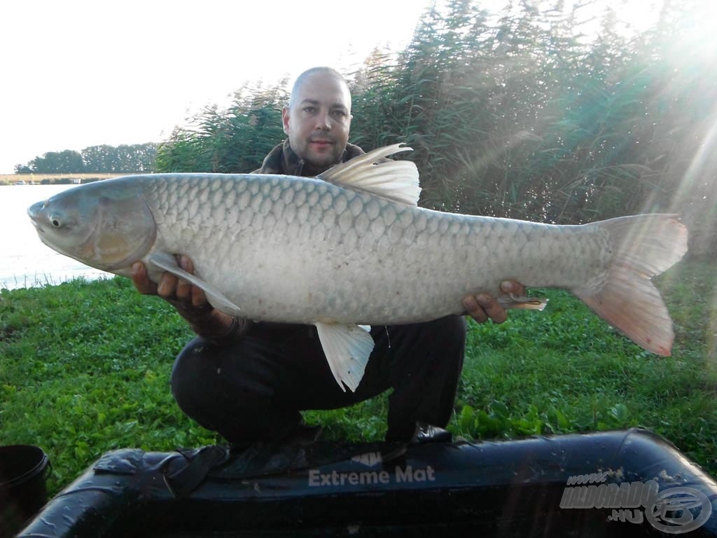 Búcsúhalként egy 15 kg-os amur jelentkezett